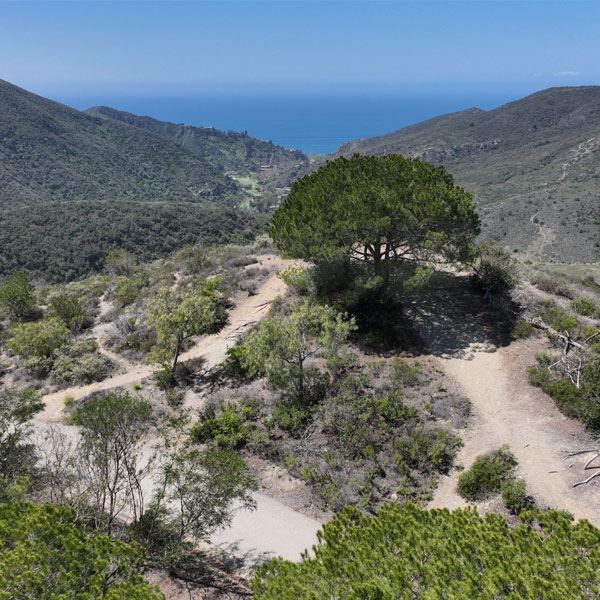 Aliso Wood Canyons Wilderness-Aliso Ridge Trail 1