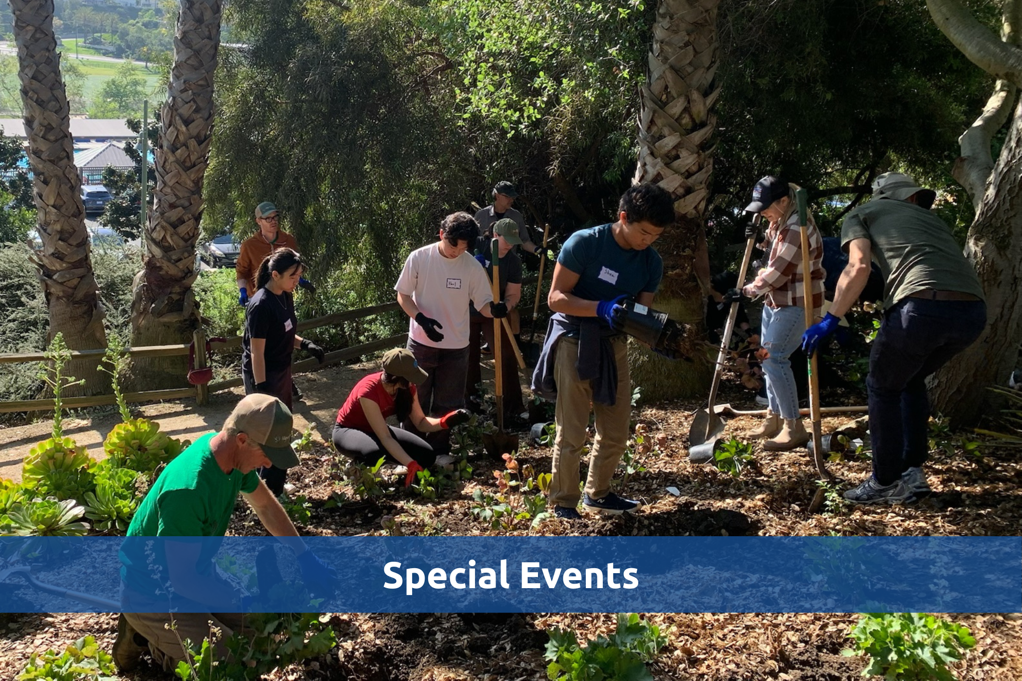 Special Events_Color