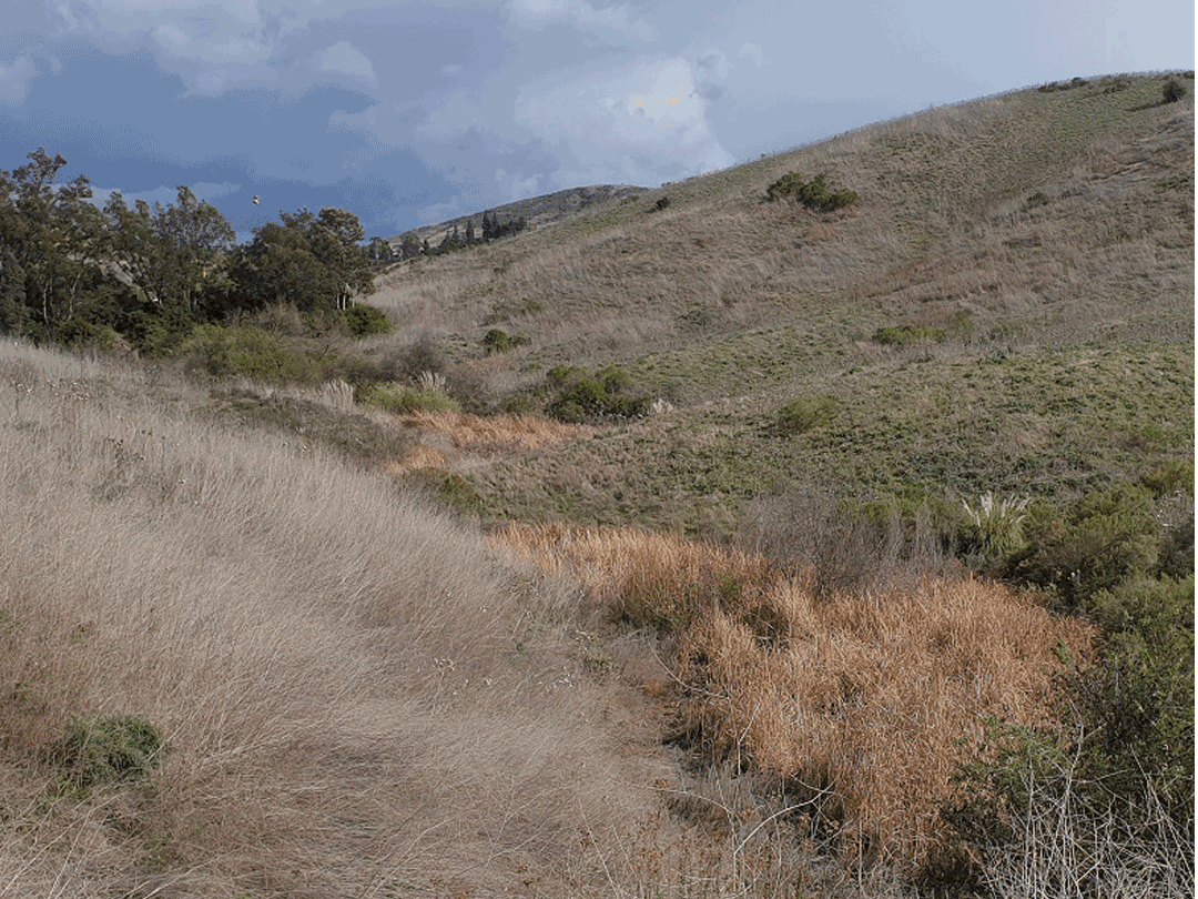 Salt-Creek-Restoration-Area