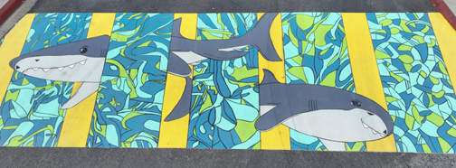 Shark Crosswalk